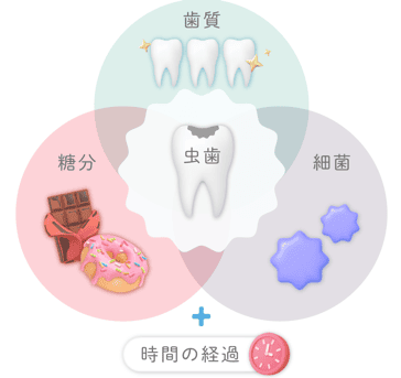 むしの原因は?