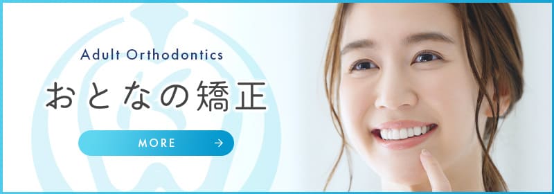 おとなの矯正